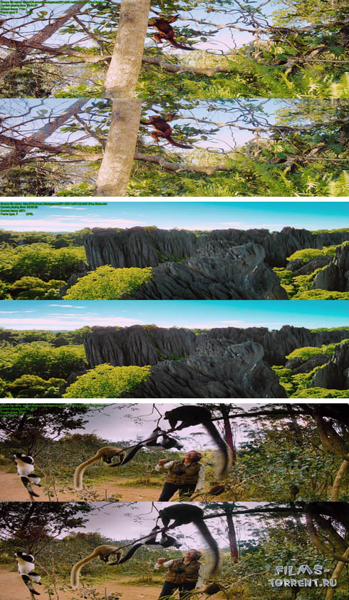 Остров лемуров: Мадагаскар 3D (2014)
